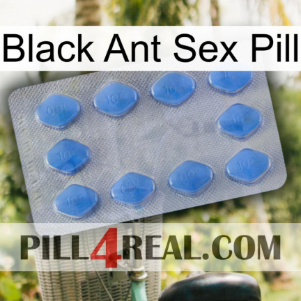Black Ant Sex Pill 21
